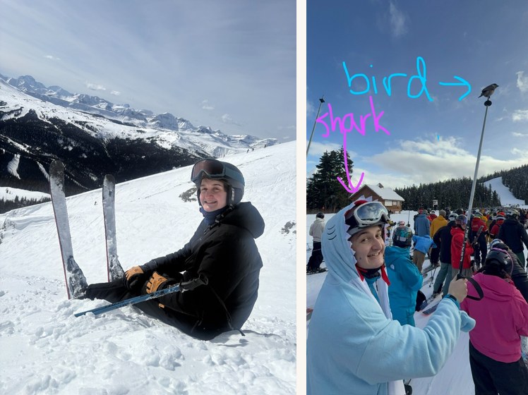 Collage: sitting on a snowy ridge in the mountains; in a ski line holding a pole with a bird on top.